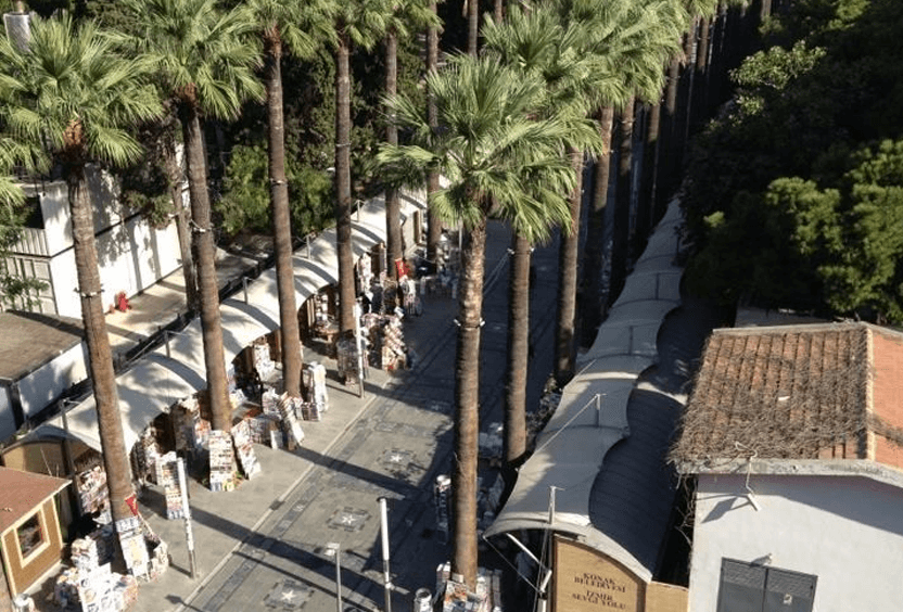 Resort Zigana Hotel - Alsancak Sevgi Yolu Ulaşım Rehberi